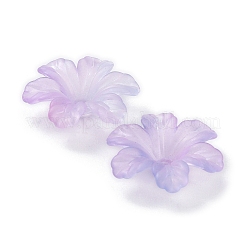 Набор для поиска поделок для изготовления ювелирных изделий TACR-A004-04B