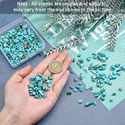 Синтетический бирюзовые бусы чип&nbsp;G-SC0001-29