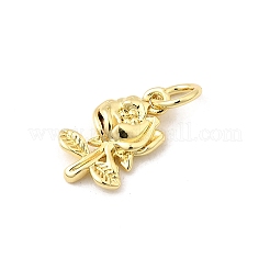 Латунные подвески&nbsp;KK-I364-44G