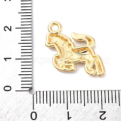 Подвески из эмали и сплава&nbsp;FIND-M060-26G-04