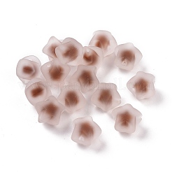 ゴム引きスタイルの透明アクリルビーズ  ツートン  二層ビーズスタイル  スター  ミックスカラー  17x17.5x14mm  穴：2.7mm&nbsp;OACR-C001-10