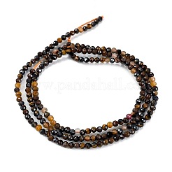 Природных тигровый глаз бисер нитей G-H003-B04-02
