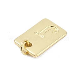 Messing Anhänger & Charms&nbsp;KK-H206-10G-J