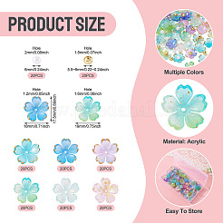 160 pièces 8 styles de capuchons de perles en acrylique&nbsp;OACR-TA0004-53A