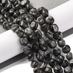 Натуральные нити бус из ларвикита&nbsp;LS-G-G146-A13-01