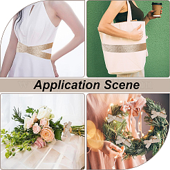 10 ярд блестящей ленты из полиэстера OCOR-WH20001-31C