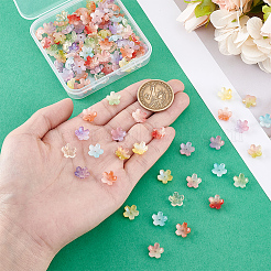 120 шт. 12-х цветные прозрачные бусины ручной работы в технике лэмпворк GLAA-PH0004-04