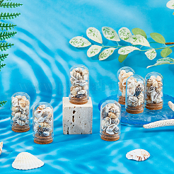 9 шт. 3-х видов стеклянный куполообразный сосуд в форме арки с натуральными смешанными ракушками каури внутри AJEW-FH00025