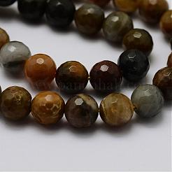 Filoni naturali Petrified Wood perline&nbsp;G-G687-27-8mm