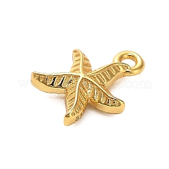 925 серебряная подвеска в виде морской звезды&nbsp;STER-U009-09G-02