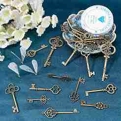 Набор для самостоятельного изготовления браслета с подвеской в виде ключа-скелета и крыла DIY-SC0017-48