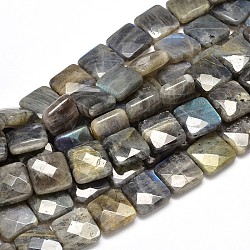 Labradorite naturelle carré brins de perles, facette, 12x12x6mm, Trou: 1mm, Environ 34 pcs/chapelet, 15.74 pouce