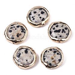 Perles de jaspe dalmatien naturelle, avec bord en pâte polymère plaquée or clair, plat rond, 17~19x17~18x5~7mm, Trou: 1.2mm