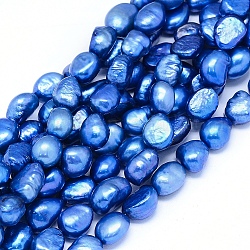 Окрашенные натуральные культивированные нити из пресноводного жемчуга, овальные, королевский синий, 10~15x6~10 мм, отверстие : 0.8 мм, около 30~34 шт / нитка, 14.1 дюйм (36 см)