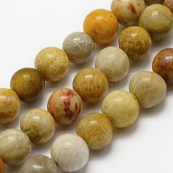 Fossiles naturelle perles de corail brins, ronde, 4mm, Trou: 1mm, Environ 95 pcs/chapelet, 15.3 pouce (39 cm)