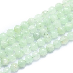 Natur Prehnit Perlen Stränge, Runde, 8~8.5 mm, Bohrung: 0.8 mm, ca. 46 Stk. / Strang, 15.08 Zoll (38.3 cm)