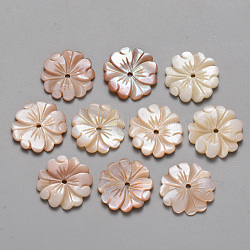 Natural Pink Shell Beads, Flower, 17x2mm, Hole: 1.4mm