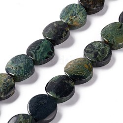 Chapelets de perles de jasper kambaba naturel, torsion plat rond, 16x6~7mm, Trou: 1mm, Environ 25 pcs/chapelet, 15.75'' (40 cm)