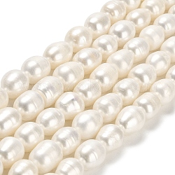 Fili di perle di perle d'acqua dolce coltivate naturali, riso, grado a, bianco floreale, 10.5~12x9.5~10mm, Foro: 0.6 mm, circa 31~34pcs/filo, 14.57 pollice (37 cm)