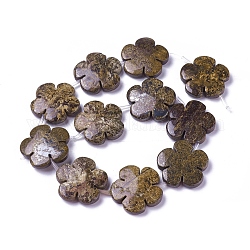 Abalorios naturales bronzite hebras, flor, 29~31x5~7mm, agujero: 1 mm, aproximamente 11 pcs / cadena, 15.15 pulgada