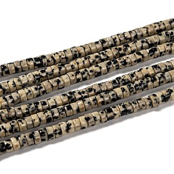 Chapelets de perles en jaspe dalmatien naturelle, perles heishi, Plat rond / disque, 4.5x2.5mm, Trou: 0.8mm, Environ 160 pcs/chapelet, 15.7 pouce (40 cm)