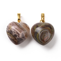 Природных драгоценных камней подвески, с фурнитурой латунной золотого тона, шарма сердца, 18x15~15.5x6~8 мм, отверстие : 6x3 мм