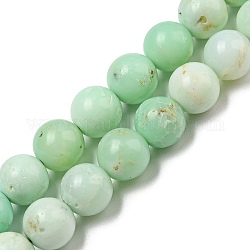 Natürliche Chrysopras-Perlenstränge der Güteklasse A, Runde, 8 mm, Bohrung: 0.8 mm, ca. 48 Stk. / Strang, 15.16'' (38.5 cm)