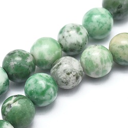 Qinghai naturelle perles de jade brins, ronde, 10mm, Trou: 1mm, Environ 37 pcs/chapelet, 14.9 pouce (38 cm)