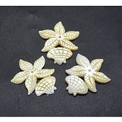 Cabochons de concha, estrella de mar/estrellas de mar y concha, 45~47x37~39x2~4mm