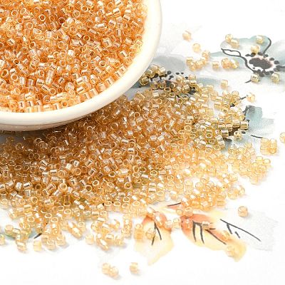 Прозрачные цвета блеск стеклянный бисер SEED-S042-02B-01-1