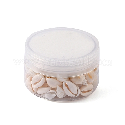 54 шт. Набор бусин из окрашенных ракушек гребешка натурального цвета FIND-FS0001-19-1