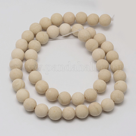 Natural Fossil Beads Strands G-D694-14mm-1