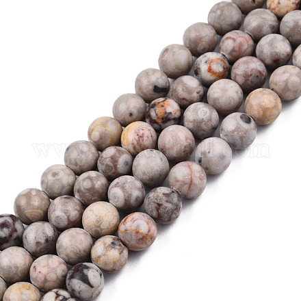 Chapelets de perles maifanite/maifan naturel pierre  X-G-R345-8mm-40-1