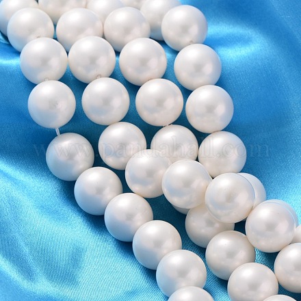 Cuentas redondas de concha de perla pulida hebras SP16MM701-1
