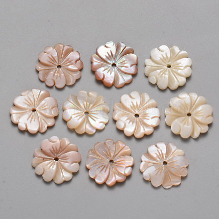 Perles naturelles de coquillage rose SSHEL-R044-01-1