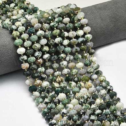 Натурального дерева агат бисер нитей G-P573-A17-01-1