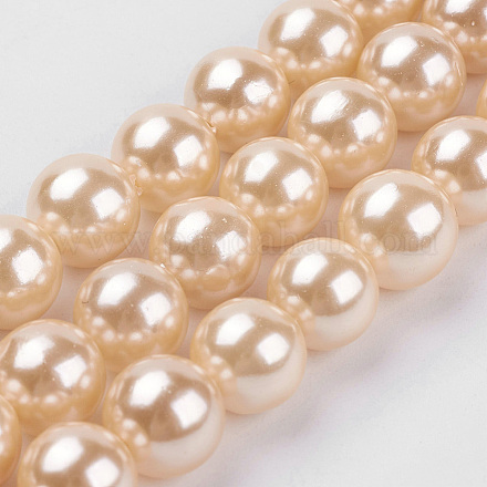 Shell Pearl Beads Strands BSHE-K011-10mm-VA066-1