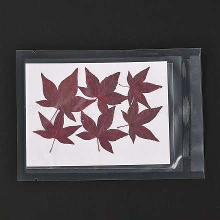 Кленовый лист тиснение сушеный цветок DIY-K032-63B-1