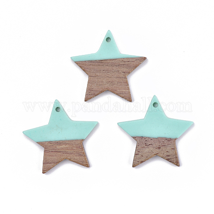 Подвески из смолы и дерева&nbsp;LS-X-RESI-T023-23C-1