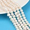 Natural Cultured Freshwater Pearl Beads Strands, Potato, Grade A, Snow, 7~8mm, Hole: 0.7mm, about 54~55pcs/strand, 32.8~33.2cm
