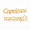 Golden Plated Alloy Cabochons, Twelve Constellations, Capricorn, 10x36x1.5mm