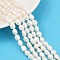Natural Cultured Freshwater Pearl Beads Strands, Two Sides Polished, Grade 6A, Antique White, 6~7mm, Hole: 0.6mm, about 44~45pcs/strand, 13.39''~13.58''(34~34.5cm)