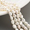 Natural Cultured Freshwater Pearl Beads Strands, Two Sides Polished, Grade 3A, Floral White, 4~5mm, Hole: 0.5mm, about 32pcs/strand, 7.09''(18cm)