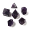 6Pcs Natural Amethyst Home Display Decorations, Mixed Shapes, Reiki Energy Stone for Healing, 16~26.5x16~20x16~20mm