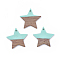 Resin & Wood Pendants, Star, Turquoise, 26x28x4mm, Hole: 1.6mm