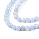 Natural Freshwater Shell Beads Strands BSHE-T009A-01F-3