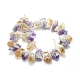 Natural Citrine and Amethyst Beads Strands G-L551C-03-3