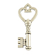 Tibetan Style Alloy Key Pendants X-TIBEP-3277-AS-NR-1