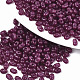 Grade A Glass Seed Beads X-SEED-R050-2373-4