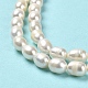 Fili di perle di perle d'acqua dolce coltivate naturali PEAR-E016-168-4